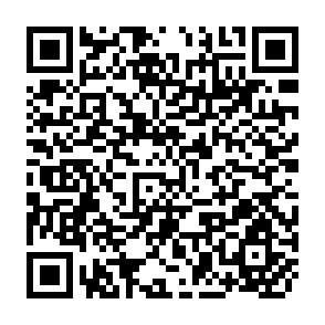 QR Code for Non-Governmental Organizations and the State in Asia