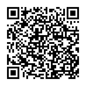 QR Code for World Bank Discussion Papers 183 : Participatory Development and the World Bank