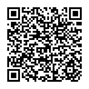 QR Code for A Generation of Growth
