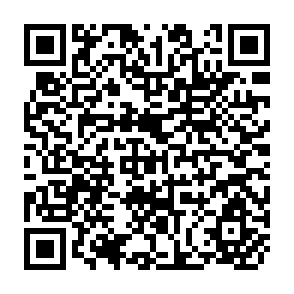 QR Code for The Role of Small and Medium-Scale Manufacturing Industries in Industrial Development : The Experience of Selected Asian Countries