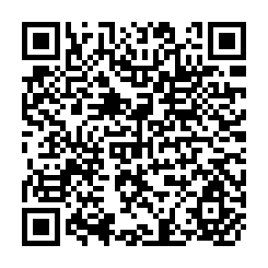 QR Code for Guidelines for Incorporation of Social Dimensions in Bank Operations
