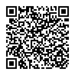 QR Code for Economics of Rural Change