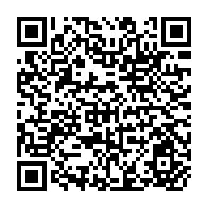 QR Code for Public Administration and Development