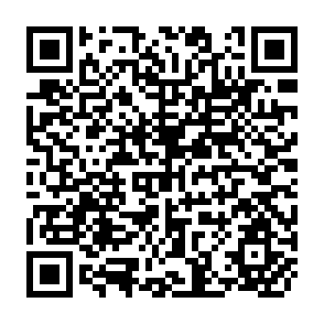 QR Code for World Development Report 1995