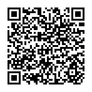 QR Code for Efficiency and Equilty Considerations in Pricing and Allocating Irrigation Water