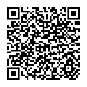 QR Code for Organization and Management by Farmers in the Chattis Mauja Irrigation System, Nepal