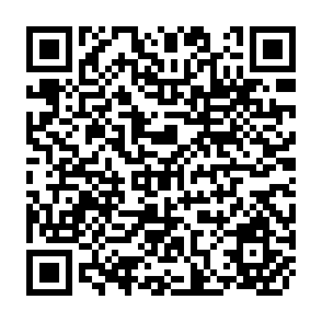 QR Code for Institutional Perspectives of Land Reclamation Operations in Punjab