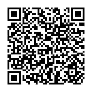 QR Code for Second Evaluation Report of the Project