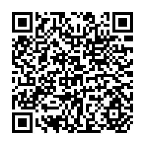 QR Code for Second Evaluation Report of the Project