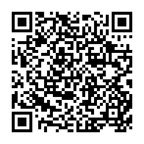QR Code for Perspectives on Sustainable Development in the Asia - Pacific Region