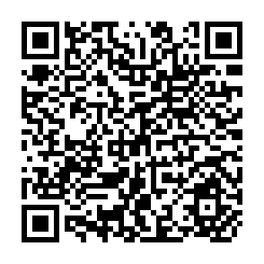 QR Code for Income Distribution