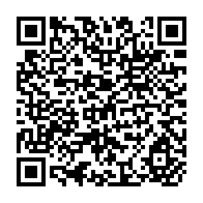 QR Code for The Challenge to the South