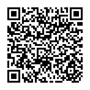QR Code for Dried/Dehydrated Tropical Fruit