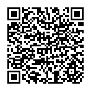 QR Code for Cross-Cultural Studies