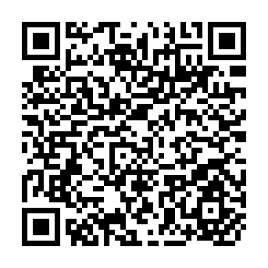 QR Code for A Forest Inventory of Ceylon