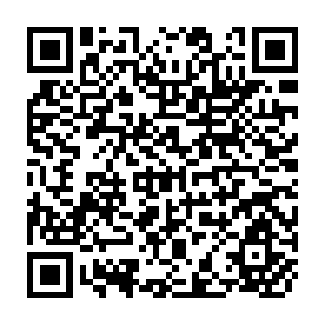 QR Code for Irrigation Development in Southeast Asia Beyond 2000: Will the Future Be Like the Past?