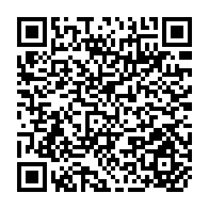 QR Code for Are Pre-schoolers from Female-Headed Households Less Malnourished? A Comparative Analysis of Results from Ghana and Kenya