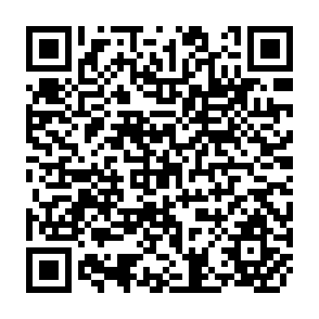 QR Code for The Effect of Income on Demand for Food in Poor Countries:Are Our Food Consumption Databases Giving Us Reliable Estimates?