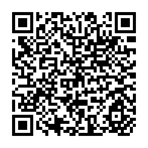 QR Code for Are Better Off Households More Unequel or Less Unequal?