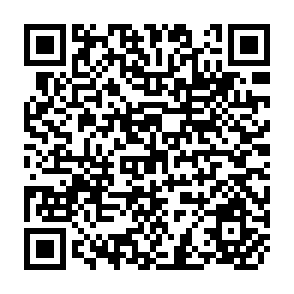 QR Code for Unitary Versus Collective Models of the Household: Is It Time to Shift the Burden of Proof?