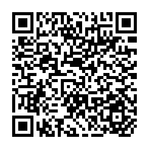 QR Code for The Meaning of the Maize Revolution I Sub-Saharan Africa: Seeking Guidance From Past Impacts