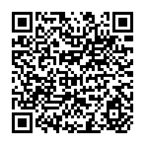 QR Code for Capitalism and After
