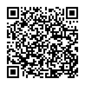 QR Code for World Development Report 1994