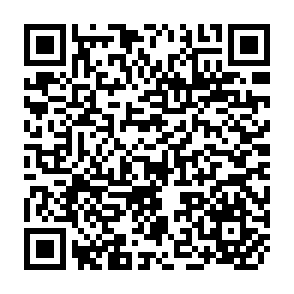 QR Code for The MIBIS Manual