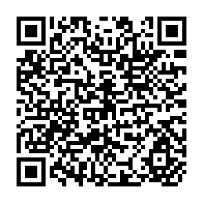 QR Code for Southern Lights