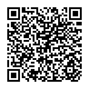 QR Code for Diversity Globalization and the ways of Nature
