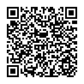 QR Code for 1993 Food AID in Figures