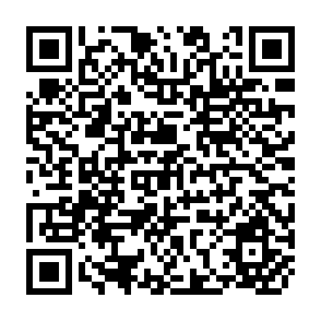 QR Code for Partnership for Planet: