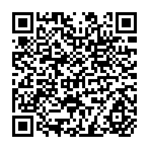 QR Code for Employment Policy in the Second Development Decade