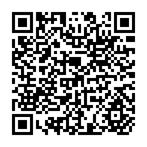 QR Code for Regional Trading Arrangements among Developing Countries: The Asean Example
