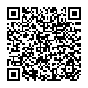 QR Code for Sources of Income Inequality in Rural Pakistan: A Decomposition Analysis