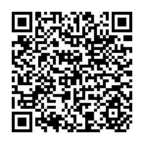 QR Code for Does It Matter How We Survey Demand for Food?