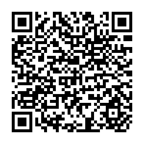 QR Code for Why Domestic Food Prices Matter to Growth Straighe Strategy in Semi-open West Affrican Agriculture