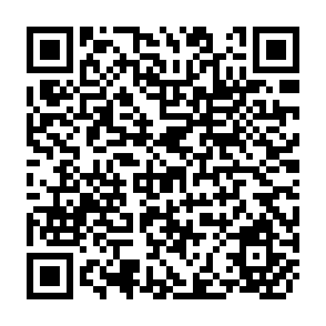 QR Code for The Value of Intrahousehold Survey Data for Age-based Nutritional Targeting