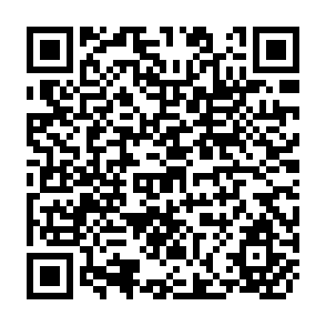 QR Code for Determinants of Credit Rationing: A Study of Informal Lenders and Formal Credit Groups in Madagascar