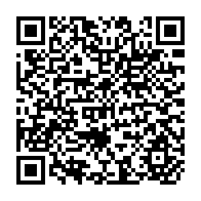 QR Code for Agricultural Income, Cash Crops, and Inequality in Rural Pakistan