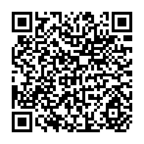 QR Code for International Migration and Environmental Degradation - The Case of Mozambican Refugees and Forest Resources in Malawi