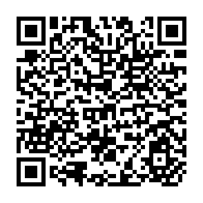 QR Code for Choice Against Choice