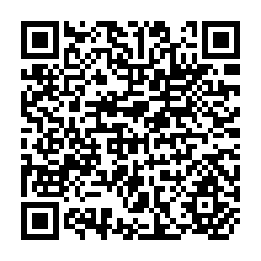 QR Code for The Eleventh International Conference of Labour Statisticians