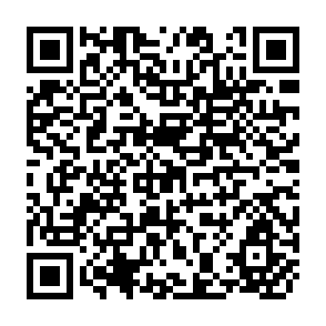 QR Code for World Employment Programme