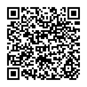 QR Code for Re-Establishing Agriculture as a Priority For Development Policy in Sub-Saharan Africa