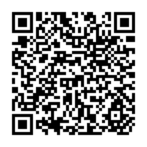 QR Code for African Farmers: Labou Use in the Development of Smallholder Agriculture