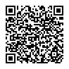 QR Code for Service Activities in Bangladesh Economic Development: Theory and Evidence