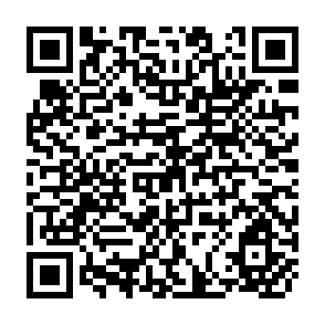 QR Code for Synthesis of Issues Discussed at the International Conference on Irrigation Management Transfer