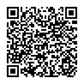 QR Code for Family Planning and Population: A Compendium of International Statistics