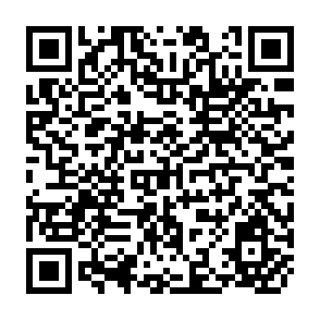 QR Code for Neoliberal Policies Small Farmers and Local Organizations: Towards an Inclusive Democratic Restructuring of Agriculture in Tucuman, Argentina